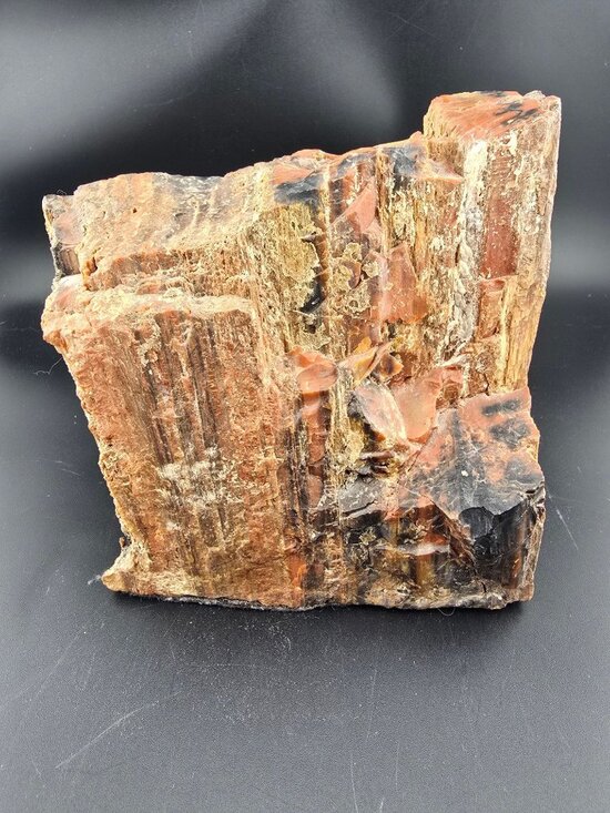 Other - Petrified Wood Fossil Specimen With Rich Red & Black Hues, Polished/Raw -2.1 lbs